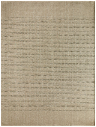 Nourison Tulum TLM01 Taupe Area Rug Main Image