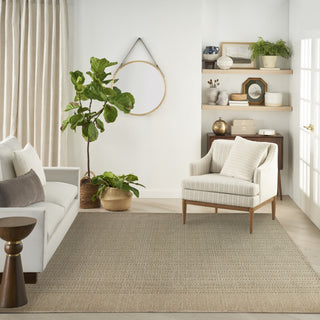 Nourison Tulum TLM01 Taupe Area Rug Room Image Feature