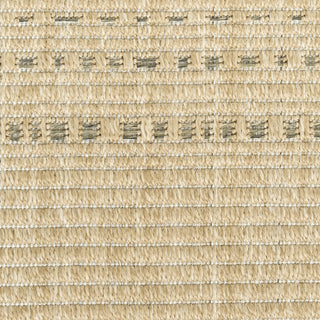 Nourison Tulum TLM01 Taupe Area Rug Swatch Image