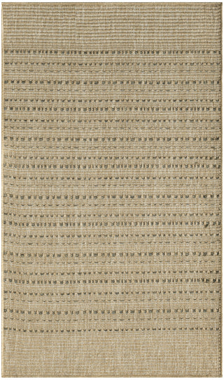 Nourison Tulum TLM01 Taupe Area Rug Main Image