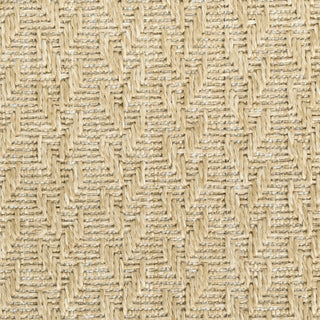 Nourison Tulum TLM02 Taupe Area Rug Corner Image
