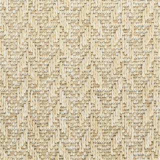 Nourison Tulum TLM02 Cream Area Rug Swatch Image