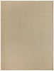 Nourison Tulum TLM02 Taupe Area Rug Main Image