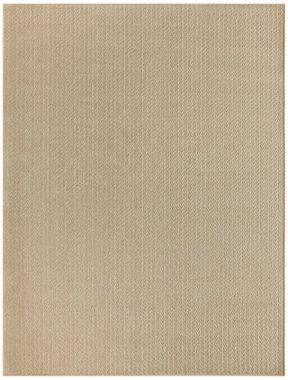Nourison Tulum TLM02 Taupe Area Rug Main Image