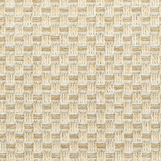 Nourison Tulum TLM03 Cream Area Rug Swatch Image