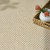 Nourison Tulum TLM03 Cream Area Rug Texture Image