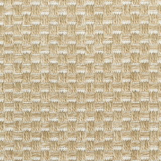 Nourison Tulum TLM03 Taupe Area Rug Swatch Image