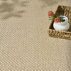 Nourison Tulum TLM03 Taupe Area Rug Corner Image