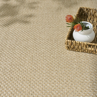 Nourison Tulum TLM03 Taupe Area Rug Corner Image