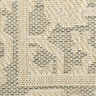 Nourison Tulum TLM05 Taupe Olive Area Rug Corner Image