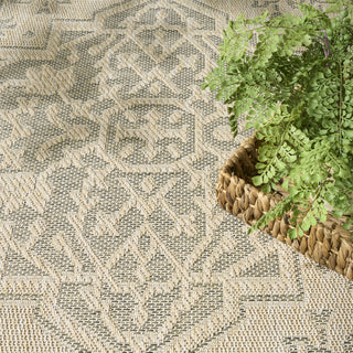 Nourison Tulum TLM05 Taupe Olive Area Rug Texture Image