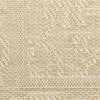 Nourison Tulum TLM05 Cream Area Rug Swatch Image