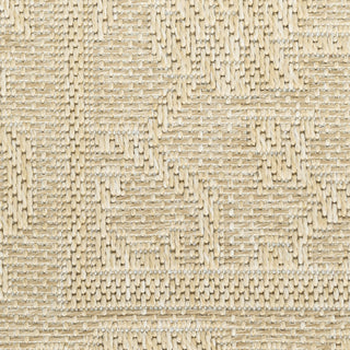 Nourison Tulum TLM05 Cream Area Rug Swatch Image