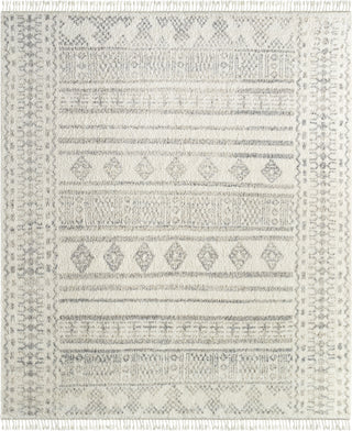 Surya Tulsa TLS-2303 Light Silver Area Rug