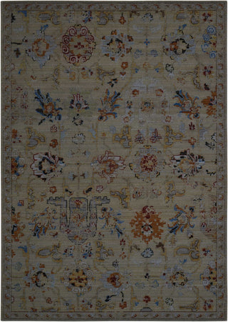Nourison Timeless TML12 Taupe Area Rug main image