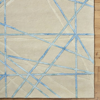 Surya Tallinn TNL-2306 Area Rug Detail