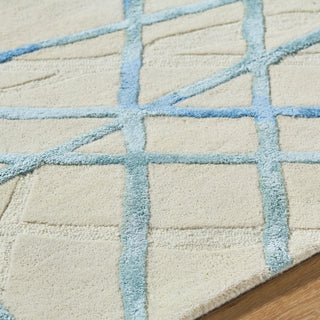 Surya Tallinn TNL-2306 Area Rug Detail