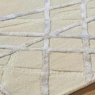 Surya Tallinn TNL-2307 Area Rug Detail