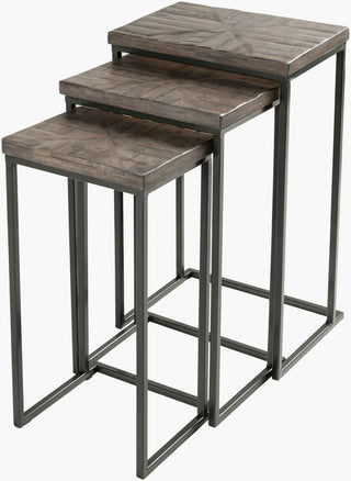 Surya Troyes TOE-001 Gray / Black Furniture main image