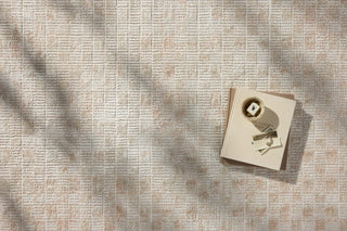 Loloi Townes TOW-06 Beige / Clay Area Rug Lifestyle Image Feature