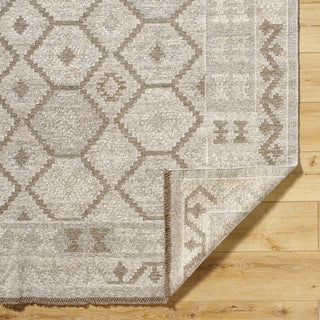 Surya Tempe TPE-2302 Ash Area Rug