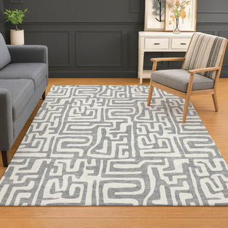 Dalyn The Reserve TR1 Gray Machine Washable Area Rug Lifestyle Image Feature