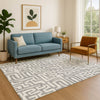 Dalyn The Reserve TR1 Gray Machine Washable Area Rug Lifestyle Image Feature