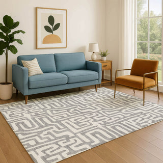 Dalyn The Reserve TR1 Gray Machine Washable Area Rug Lifestyle Image Feature