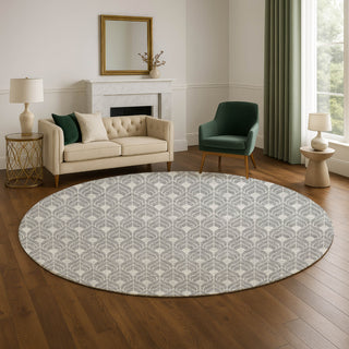 Dalyn The Reserve TR10 Gray Machine Washable Area Rug Round Lifestyle Image Feature