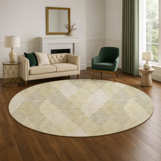 Dalyn The Reserve TR11 Beige Machine Washable Area Rug Round Lifestyle Image Feature