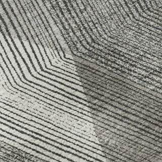 Dalyn The Reserve TR11 Charcoal Machine Washable Area Rug Swatch Image