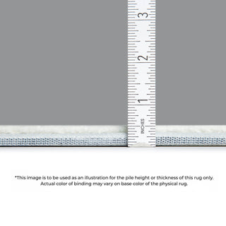 Dalyn The Reserve TR12 Black Machine Washable Area Rug Depth Image