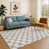 Dalyn The Reserve TR13 Gray Machine Washable Area Rug Lifestyle Image Feature