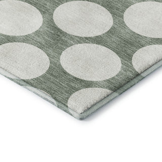 Dalyn The Reserve TR13 Sage Machine Washable Area Rug Corner Image