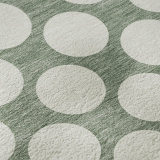 Dalyn The Reserve TR13 Sage Machine Washable Area Rug Swatch Image