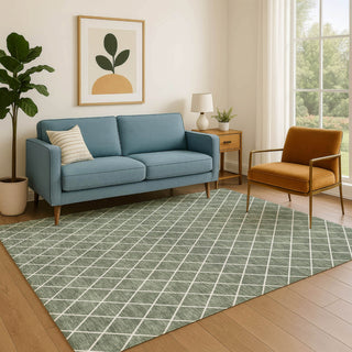 Dalyn The Reserve TR15 Basil Machine Washable Area Rug Lifestyle Image Feature