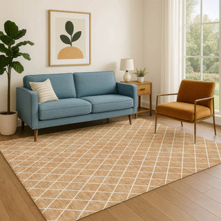 Dalyn The Reserve TR15 Copper Machine Washable Area Rug Lifestyle Image Feature