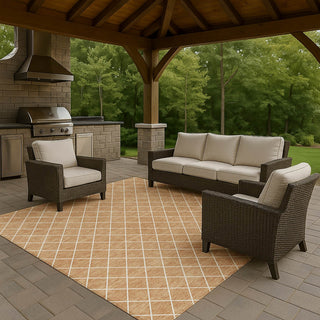 Dalyn The Reserve TR15 Copper Machine Washable Area Rug Outdoor Lifestyle Image Feature