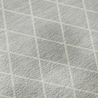 Dalyn The Reserve TR15 Silver Machine Washable Area Rug Swatch Image