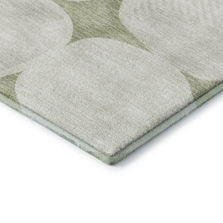 Dalyn The Reserve TR16 Aloe Machine Washable Area Rug Corner Image