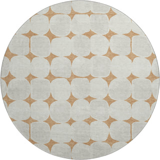 Dalyn The Reserve TR16 Copper Machine Washable Area Rug Round Main Image