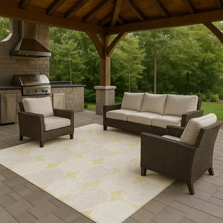Dalyn The Reserve TR16 Wheat Machine Washable Area Rug Outdoor Lifestyle Image Feature