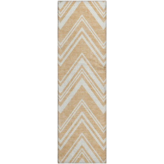 Dalyn The Reserve TR17 Peach Machine Washable Area Rug Runner Main Image