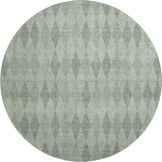 Dalyn The Reserve TR2 Fern Machine Washable Area Rug Round Main Image