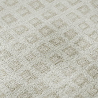Dalyn The Reserve TR4 Ivory Machine Washable Area Rug Swatch Image