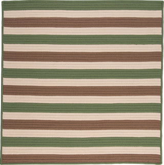 Colonial Mills Stripe It TR69 Moss-stone Area Rug Square MAin Image