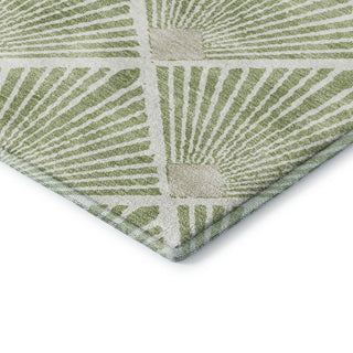 Dalyn The Reserve TR9 Aloe Machine Washable Area Rug Corner Image