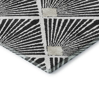 Dalyn The Reserve TR9 Black Machine Washable Area Rug Corner Image