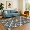 Dalyn The Reserve TR9 Black Machine Washable Area Rug Lifestyle Image Feature
