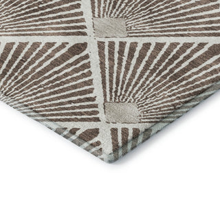 Dalyn The Reserve TR9 Brown Machine Washable Area Rug Corner Image